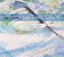 Kaja Draksler & Terrie Ex: The Swim, LP