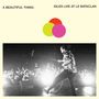 Idles: A Beautiful Thing: Live At Le Bataclan, CD,CD