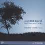 Gabriel Faure: Nocturnes & Barcarolles, CD,CD