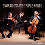 Antonin Dvorak: Klaviertrios Nr.3 & 4 (op.65 & 90), CD