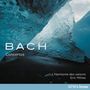 Johann Sebastian Bach: Violinkonzerte BWV 1041 & 1043, CD