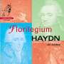 Joseph Haydn: Symphonien Nr.93,94,101, CD