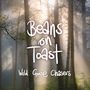 Beans On Toast: Wild Goose Chasers, CD