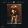 Brian Blade (geb. 1970): Perceptual, CD