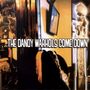 The Dandy Warhols: Dandy Warhols Come Down, CD