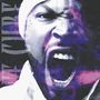 Ice Cube: War & Peace Vol.2 - The Peace Disc, CD