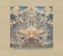 Junip: Fields, LP
