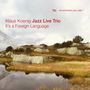 Klaus Koenig (Piano): It's A Foreign Language, CD