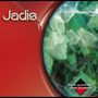 Jadis: More Questions Than Answers, CD