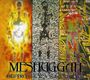 "Meshuggah", "Destroy Erase Improve"; drei Figuren: eine aus Feuer, eine verpixelt, eine wie ein Schaltkreis.