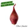 Peter And The Test Tube Babies: That Shallot, CD