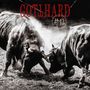 Gotthard: #13, LP
