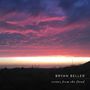 Bryan Beller: Scenes From The Flood, LP,LP