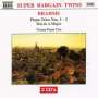 Johannes Brahms: Klaviertrios Nr.1-4, CD,CD