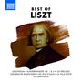 : Naxos-Sampler "Best of Liszt", CD