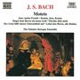 Johann Sebastian Bach: Motetten BWV 225-230, CD