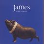 James : Millionaires, CD