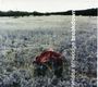Melissa Etheridge: Breakdown, CD