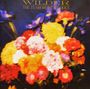 The Teardrop Explodes: Wilder, CD