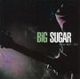 Big Sugar: Dear M. F., CDM