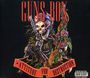 Guns Box: Attitude For Destruction, CD