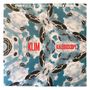 Text: "STEREO AT ITS BEST...WHEN YOU HEAR IT ON COLD BUSTED", "KLIM KALEIDOSCOPE". 

Illustration: Schallplatten und Wolken in kaleidoskopischer Anordnung.