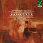 Brahms' Circle - 19th Century Music for two Pianos, CD