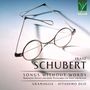 "Franz Schubert: Songs Without Words" zeigt eine Brille und das Logo von Da Vinci Classics oben rechts.