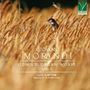 Giovanni Morandi: Orgelwerke Vol.6, CD