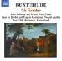 Dieterich Buxtehude: Sämtliche Kammermusik Vol.3, CD