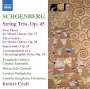 Arnold Schönberg: Streichtrio op.45, CD