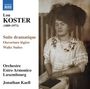 Lou Koster: Orchesterwerke, CD
