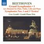 Ludwig van Beethoven: Symphonien Vol.1 (arr. für Flöte & Klaviertrio), CD