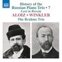 : History of the Russian Piano Trio Vol. 7, CD
