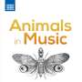 : Animals in Music, CD,CD