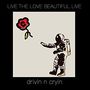 Drivin N Cryin: Live The Love Beautiful Live, LP,LP