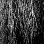 Eraldo Bernocchi: Nocturnal Rainforest, LP