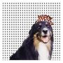 : Mollie's Mix, CD