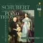 Franz Schubert: Klaviertrio Nr.2 D.929, CD