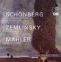Alexander von Zemlinsky: Klaviertrio op.3, CD