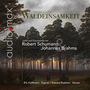 : Efa Hoffmann & Edward Rughton - Waldeinsamkeit  (Lieder & Klavierstücke von Schumann & Brahms), CD