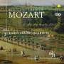 Wolfgang Amadeus Mozart: Frühe Streichquartette Vol.2, CD