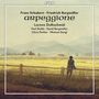 Franz Schubert: Arpeggione - Sonate D.821, CD