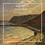 Hugo Alfvén Symphony No. 5. Küstenlandschaft in impressionistischer Art mit Klippen, Meer und Himmel. Deutschlandfunk Kultur Logo.
