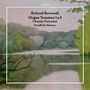 Richard Bartmuß, Organ Sonatas 1 & 3, Chorale Fantasias, Friedhelm Flamme. Eine Landschaftsmalerei mit Fluss.
