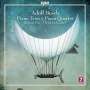 Adolf Busch: Klaviertrios Nr.1 & 2 (C-Dur op.15 / c-moll op.48), CD,CD