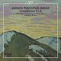 Johann Nepomuk David: Symphonien Nr.2 & 4, CD