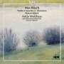 Max Bruch: Sämtliche Werke für Violine & Orchester Vol.3, CD