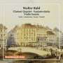 Walter Rabl: Kammermusik, CD