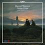 Hans Pfitzner: Klaviertrios in B & op.8 in F, CD